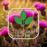TODICAMP Milk Thistle Oil 1000mg on wooden table