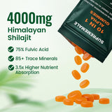 TOGOLIUN Shilajit Alpha Gummies on a wooden table