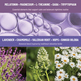 TOLEVITA Sleep Patches packaging with lavender design