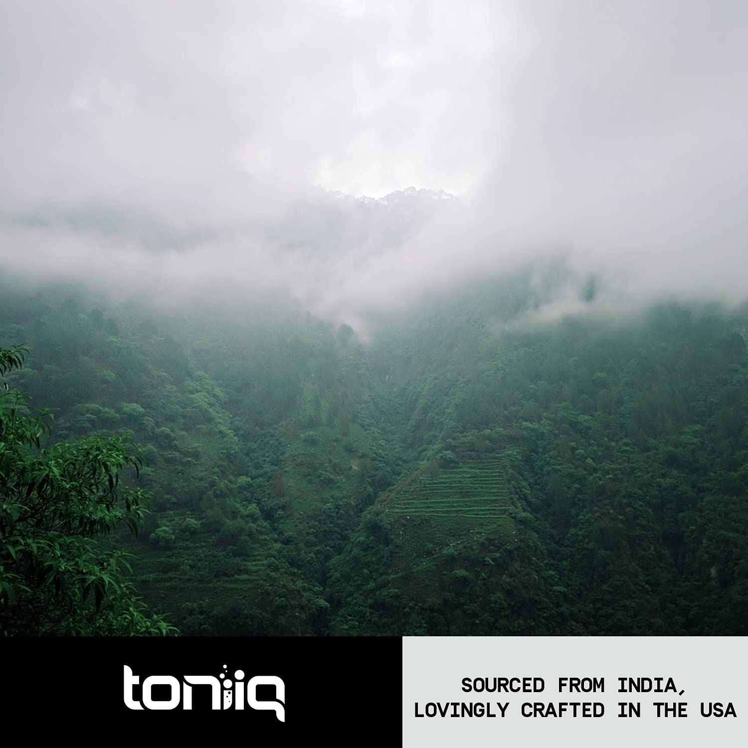 Toniiq Ashwagandha 20x concentrated extract in a lifestyle setting