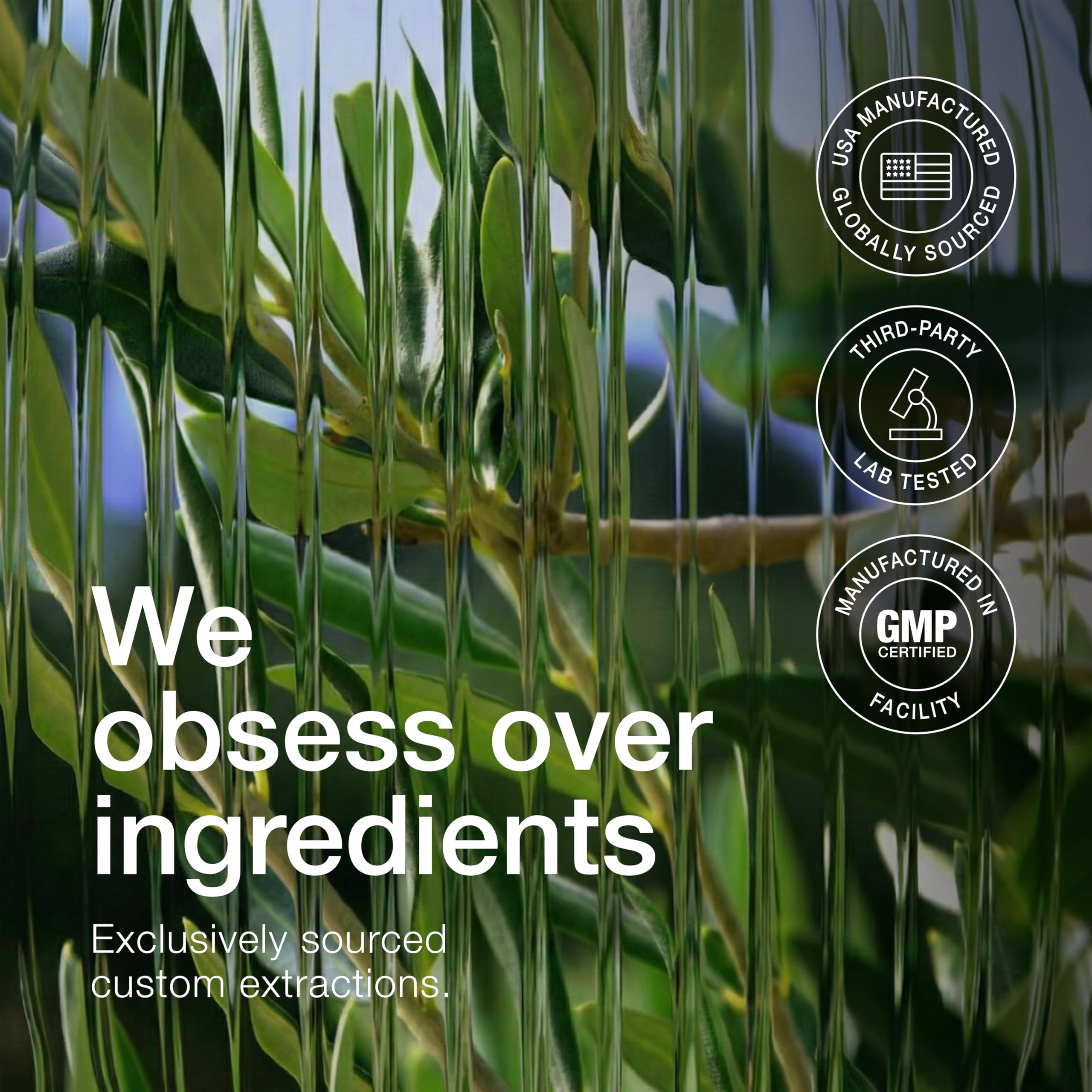 Toniiq Olive Leaf Extract 1000mg capsules close-up
