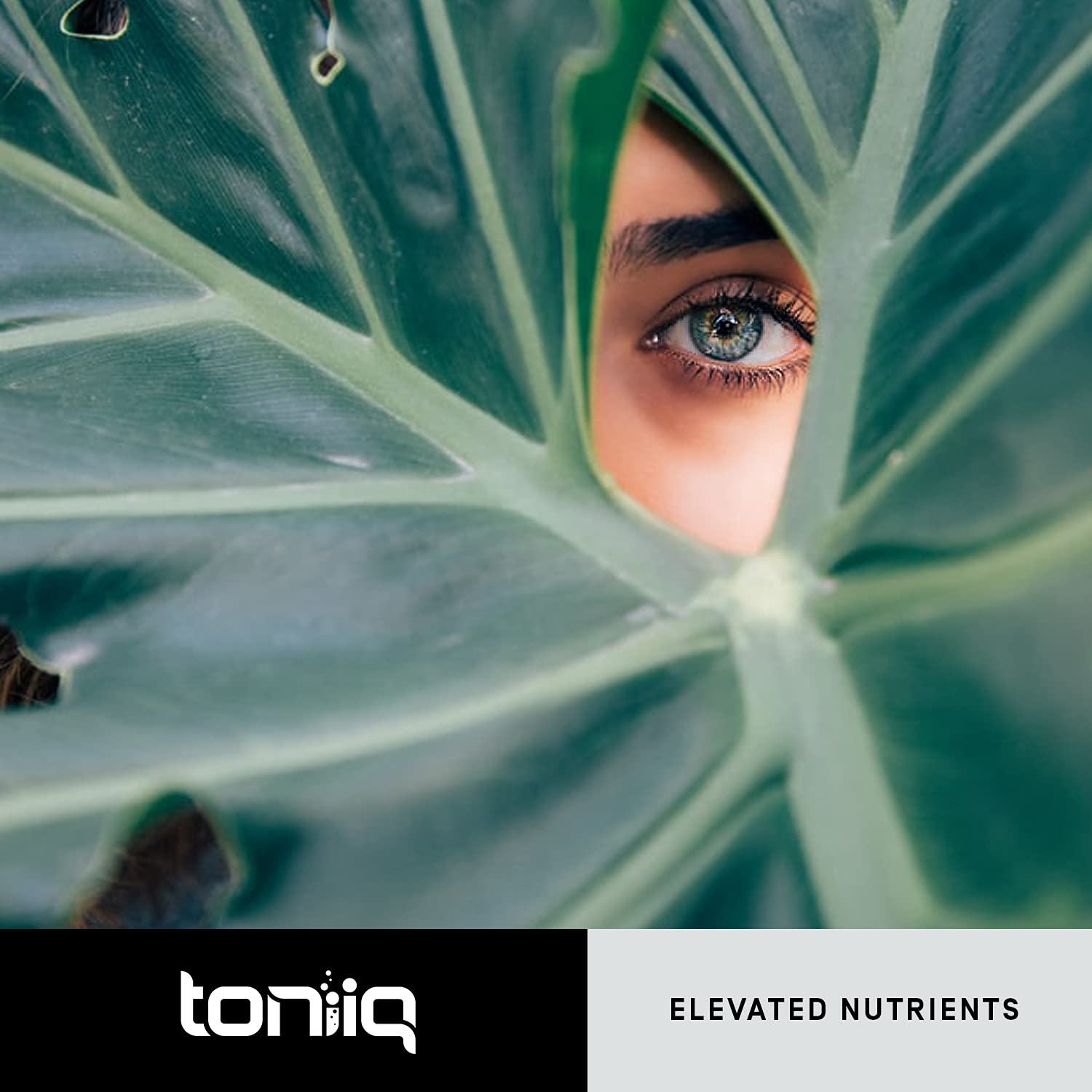 Toniiq Resveratrol Capsules 600mg nutritional information