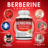 Toplux Berberine Supplement 1800mg HCl 97% purity capsules close-up