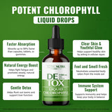 Total Nutra Liquid Chlorophyll Drops 50mg Mint Flavour bottle side view
