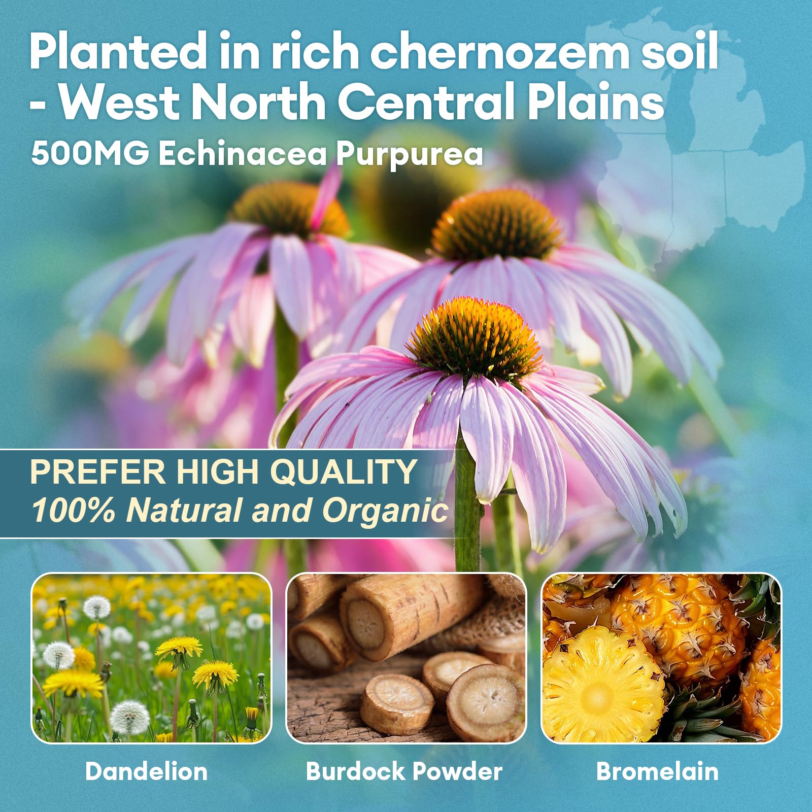 Totaria Echinacea Herbal Supplement 650mg ingredients list
