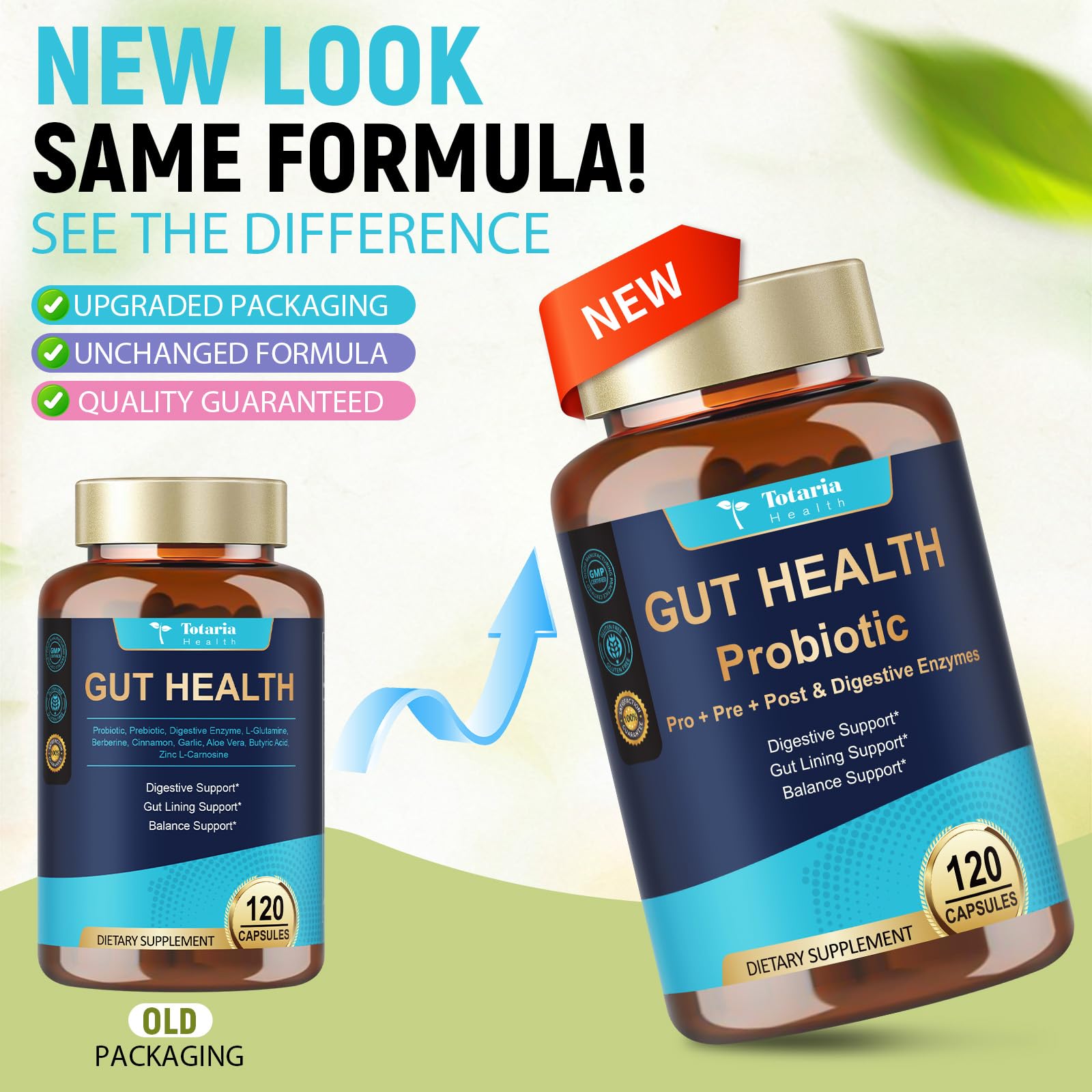 Totaria Multi-Enzyme Supplement with daily vitamins