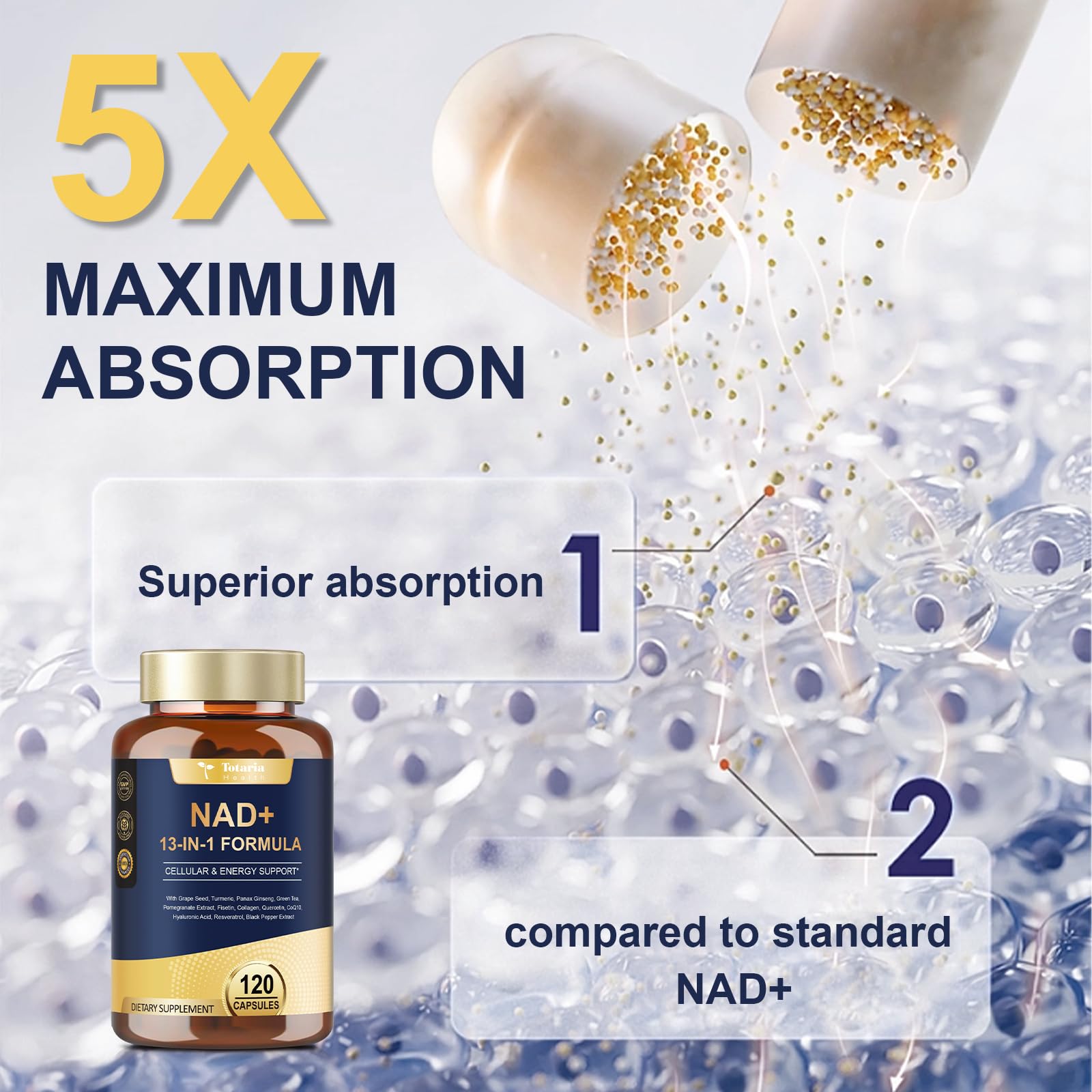 Totaria NAD Supplement Capsules displayed with natural ingredients