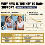 Totaria NMN Resveratrol Supplement 1000mg 60 Capsules back view