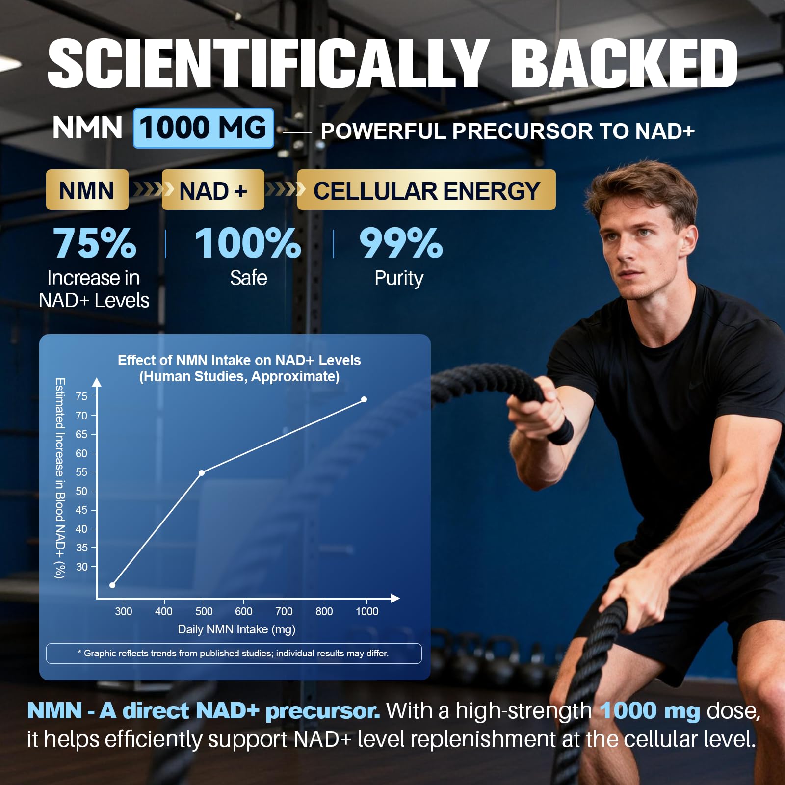 Totaria NMN Supplement 1000mg 60 Capsules back view