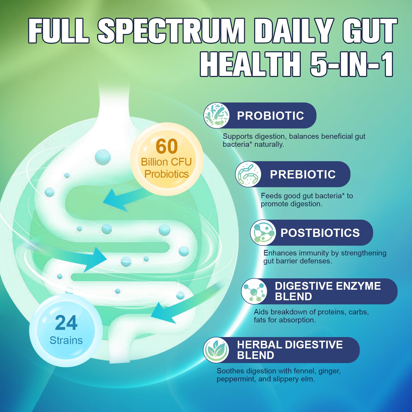 Totaria Prebiotic Probiotic Capsules in a lifestyle setting