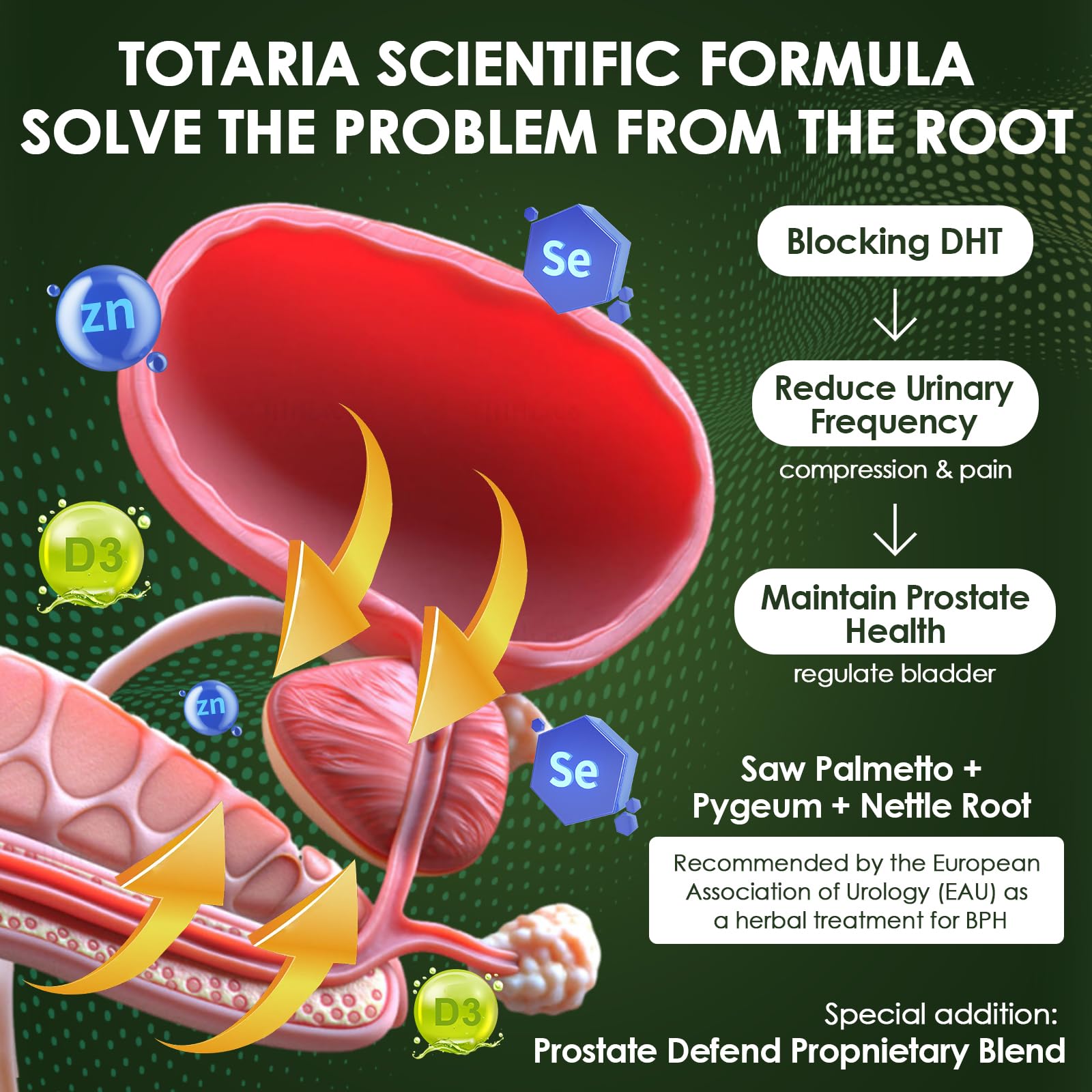 Totaria Saw Palmetto Supplement on a wooden table