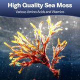 Totaria Sea Moss Capsules back view with ingredient list
