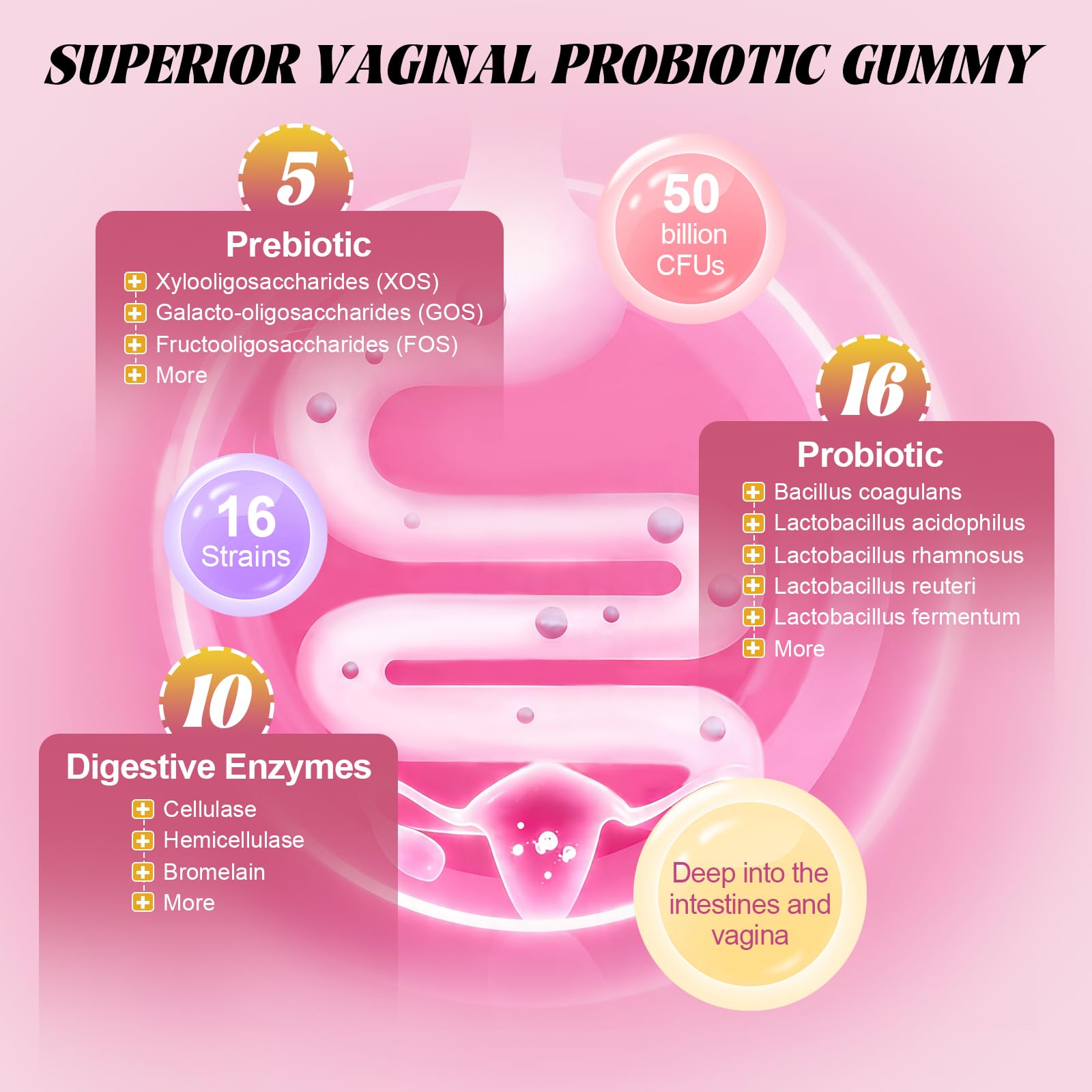 Totaria Women’s Probiotic Gummies back view with nutritional information