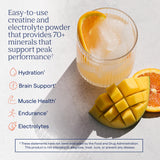 Trace Minerals Creatine + Electrolytes packaging side view