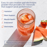 Trace Minerals Creatine + Electrolytes Tropical Watermelon 240g packaging