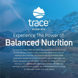 Trace Minerals Research Ionic Trace Minerals 109g in lifestyle setting