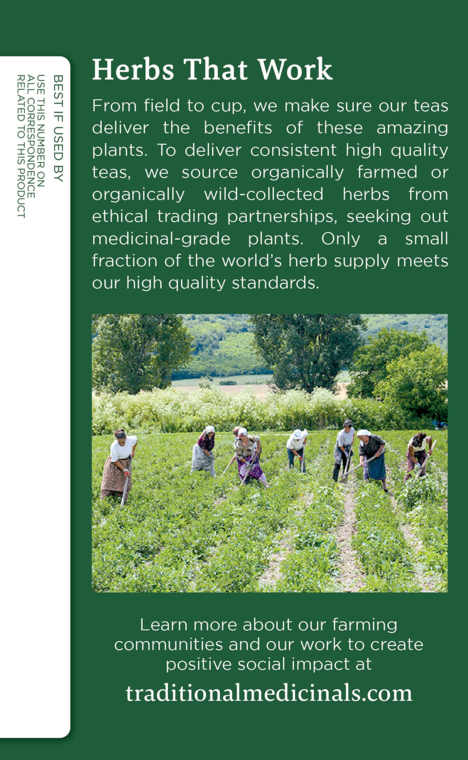 Traditional Medicinals Nettle Herbal Supplement capsules close-up