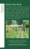 Traditional Medicinals Nettle Herbal Supplement capsules close-up