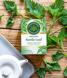 Traditional Medicinals Nettle Herbal Supplement in a lifestyle setting