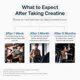 Transparent Labs Creatine HMB 259g back view