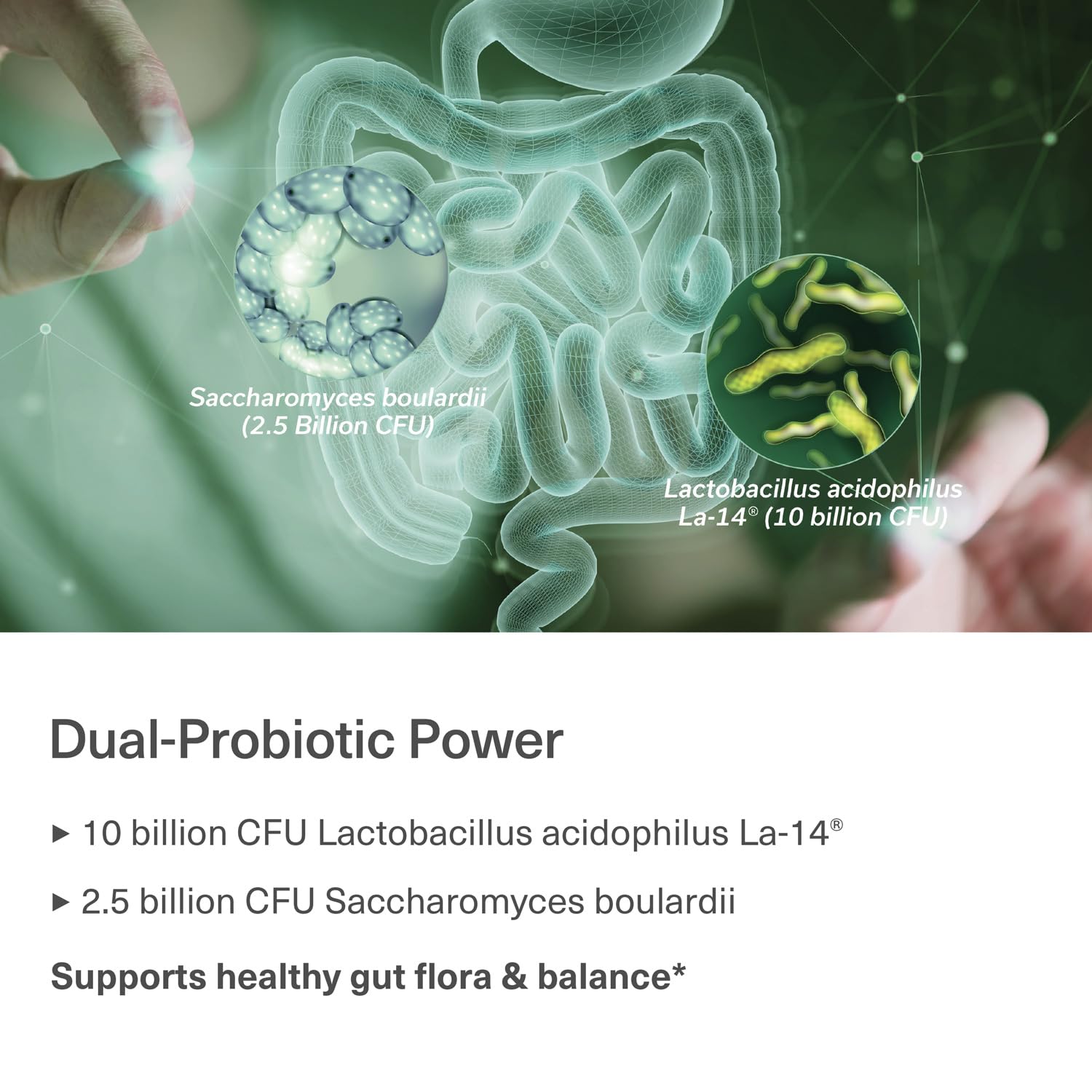 TRAVELSANA Gut Protector Advanced Formula Probiotics side view