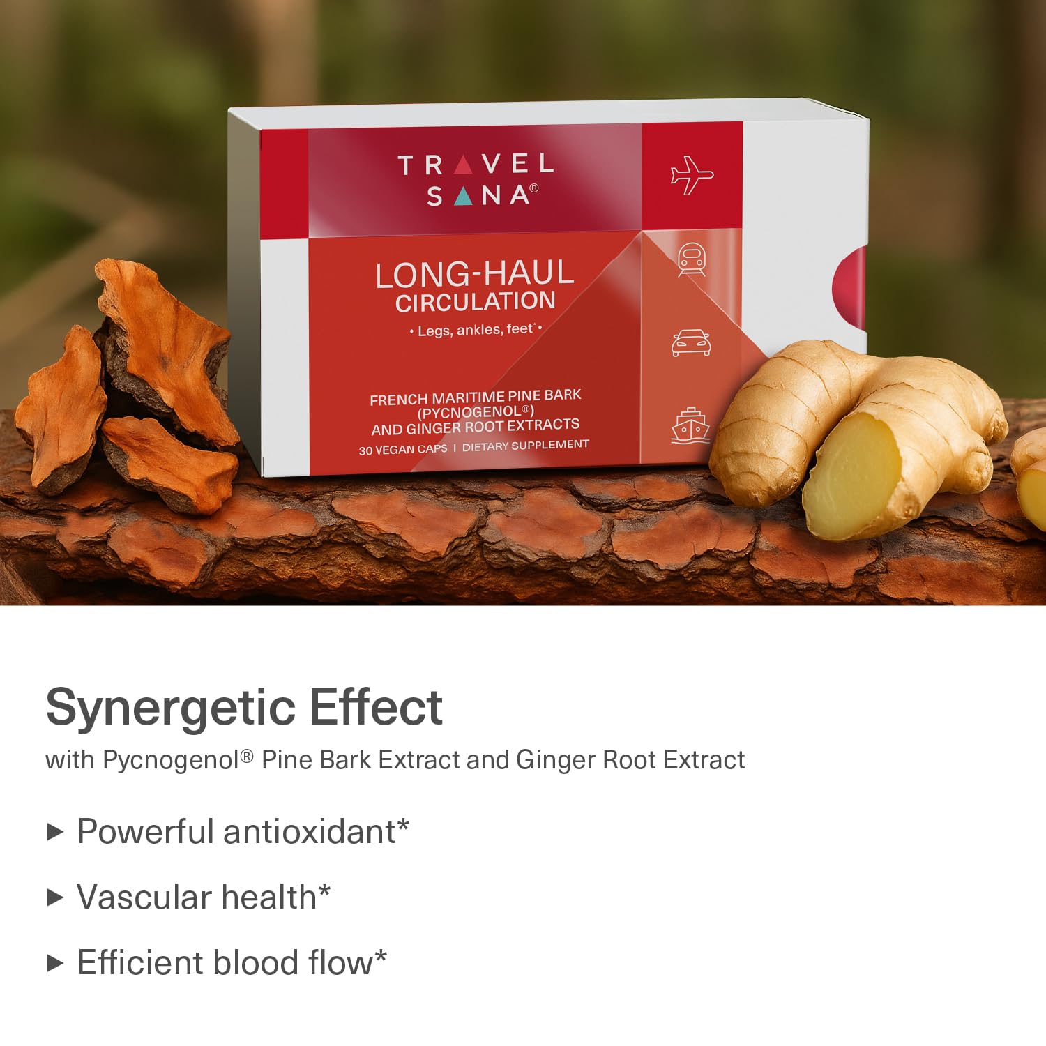 TRAVELSANA Long-Haul Circulation supplement side view with dosage info