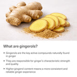 TRAVELSANA Organic Ginger Extract Capsules back view