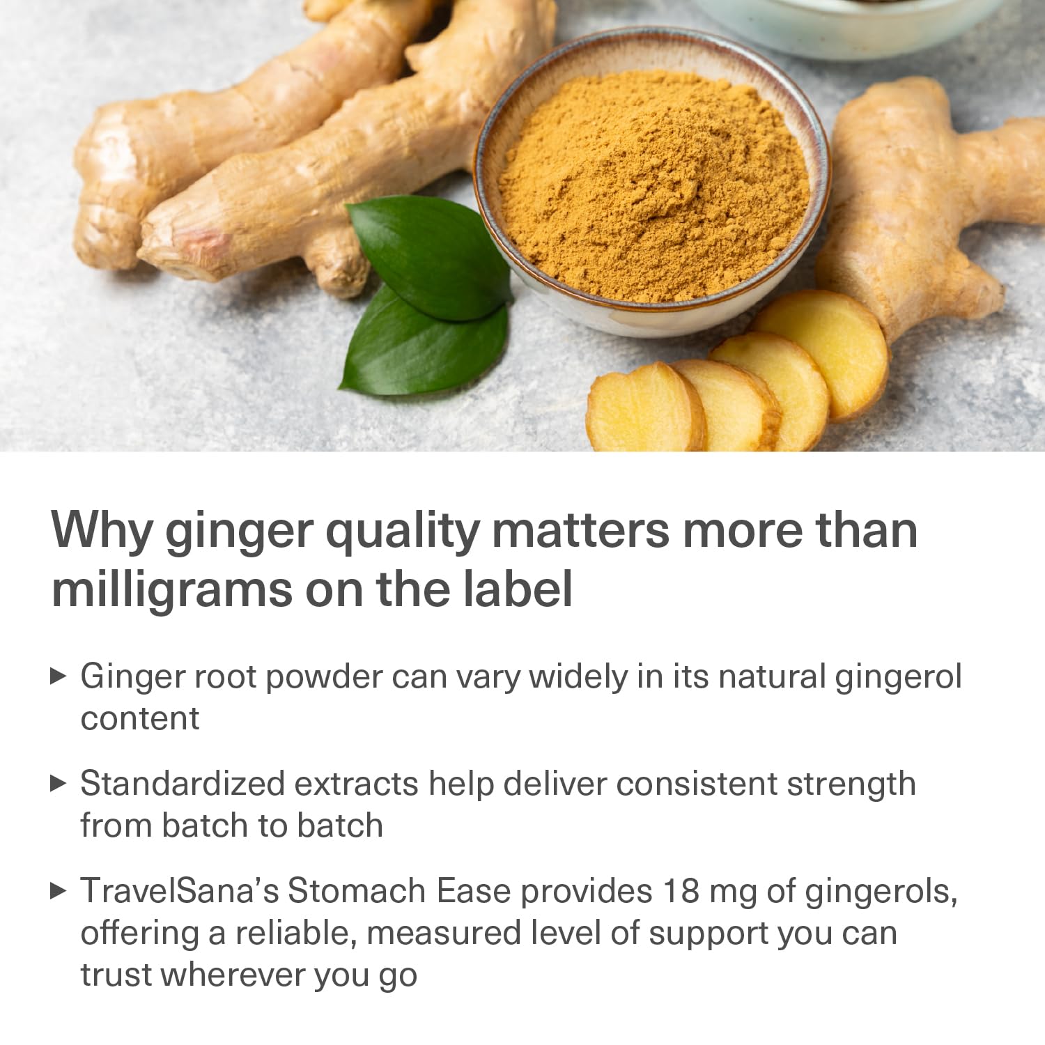 TRAVELSANA Organic Ginger Extract Capsules in travel kit