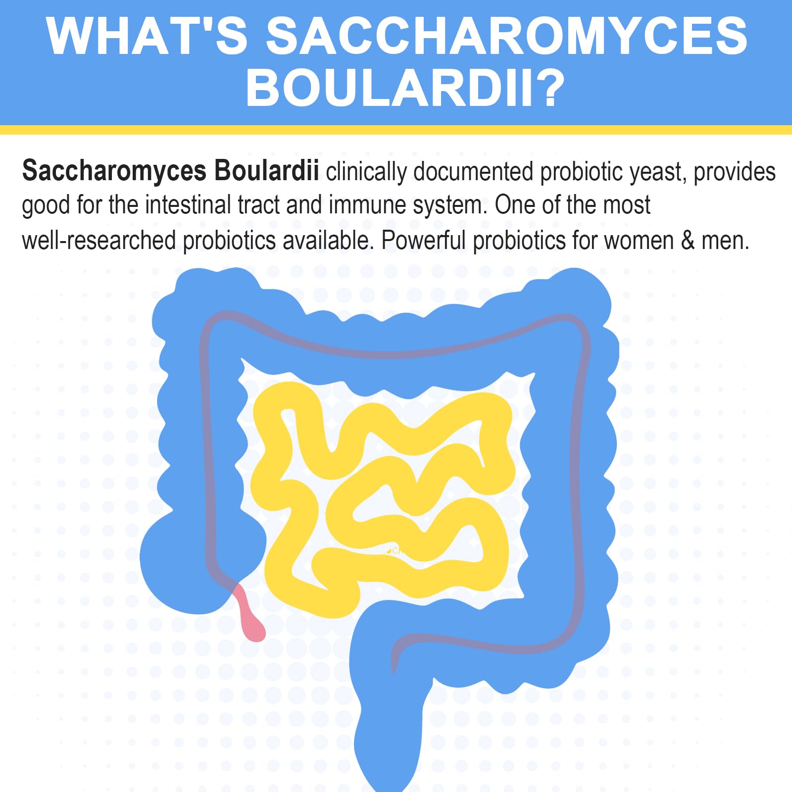 Trehealtt Saccharomyces Boulardii Probiotic 200 Billion CFUs capsules side view