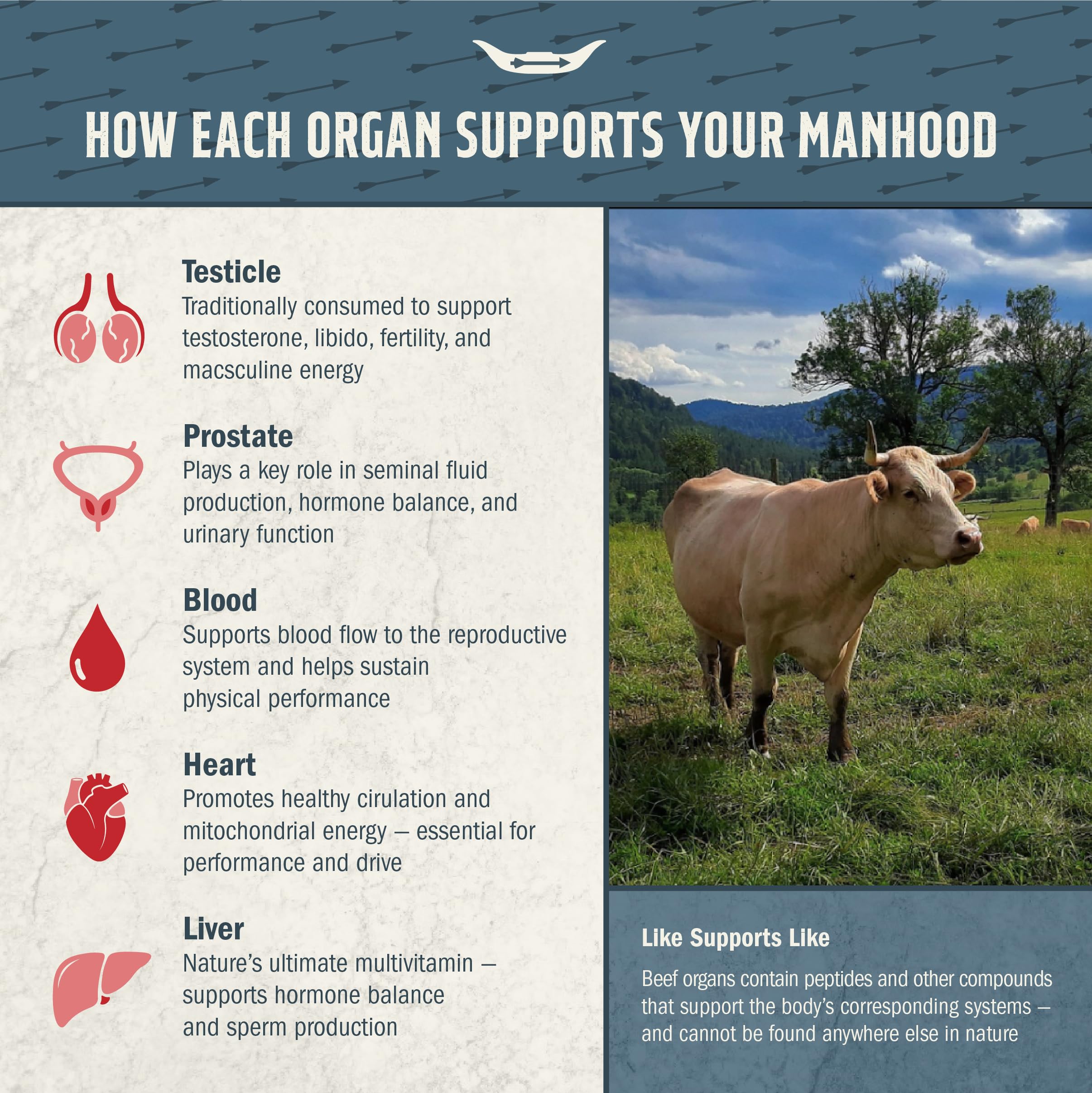 Tribal Nutrition Beef Organ Supplement ingredients list