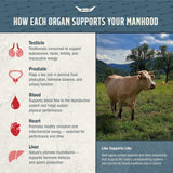 Tribal Nutrition Beef Organ Supplement ingredients list