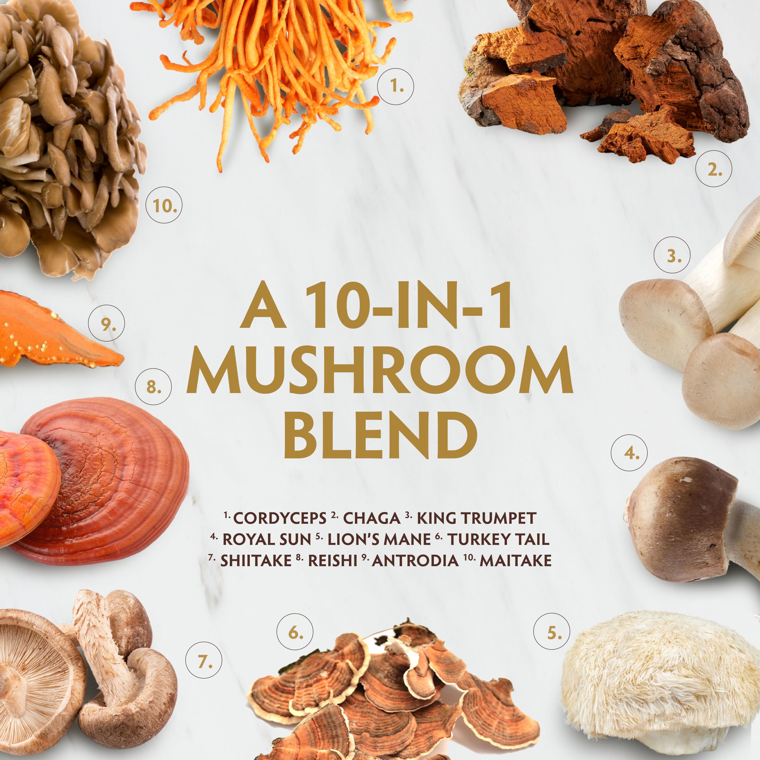 TRIBE ORGANICS 10-IN-1 Organic Mushroom Blend Capsules with mushrooms