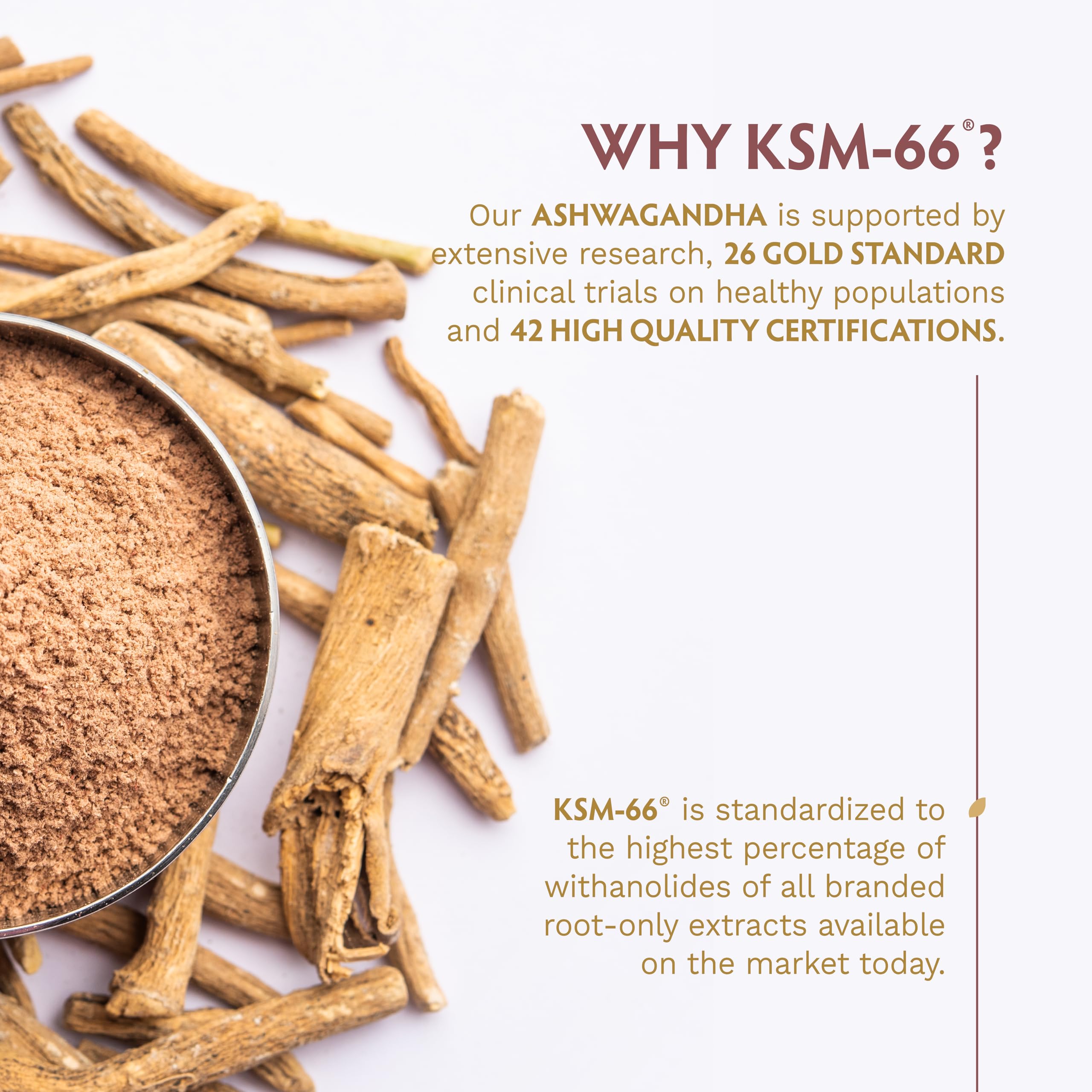 TRIBE ORGANICS KSM-66 Ashwagandha Capsules lifestyle scene