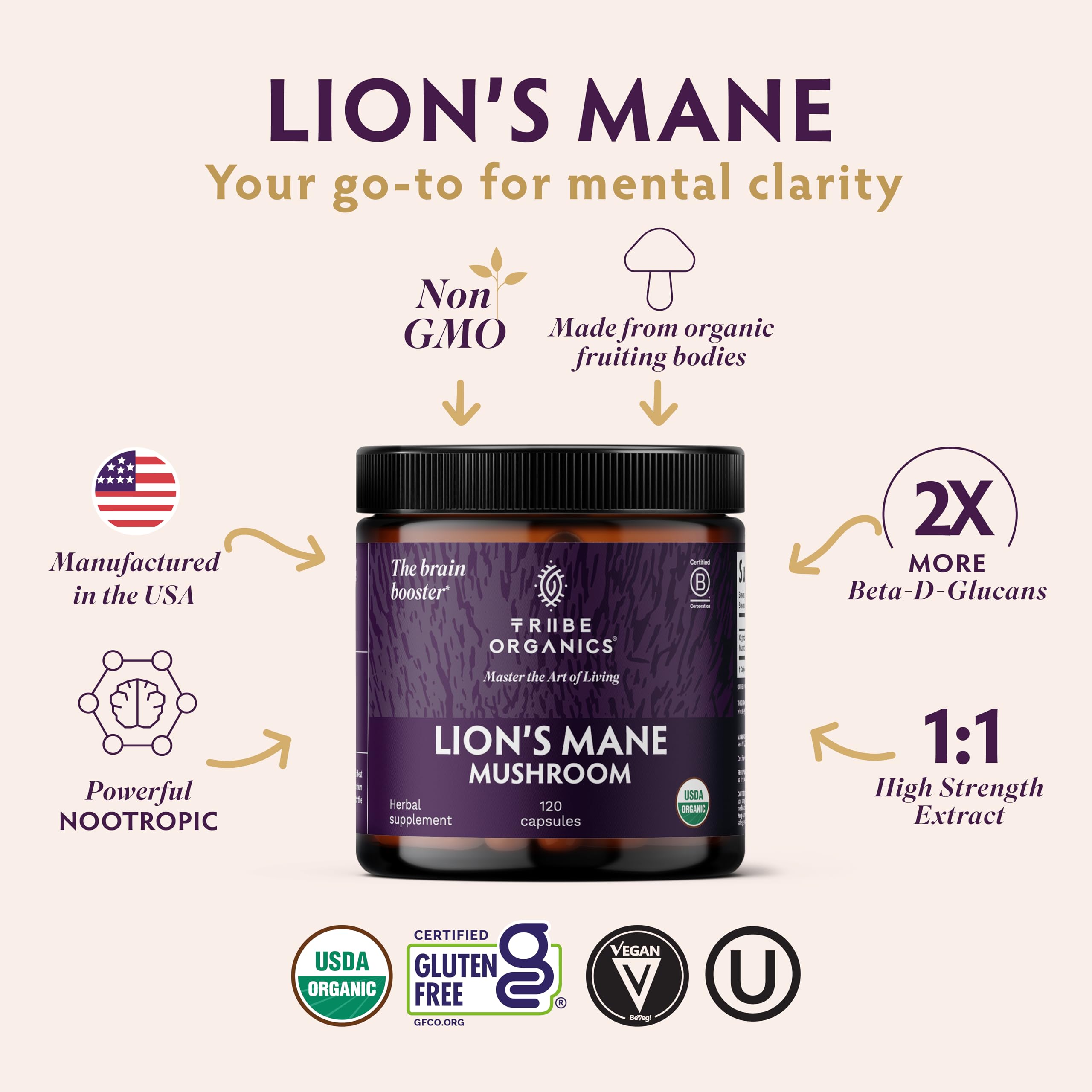 TRIBE ORGANICS Lion's Mane Mushroom Extract back label with ingredients