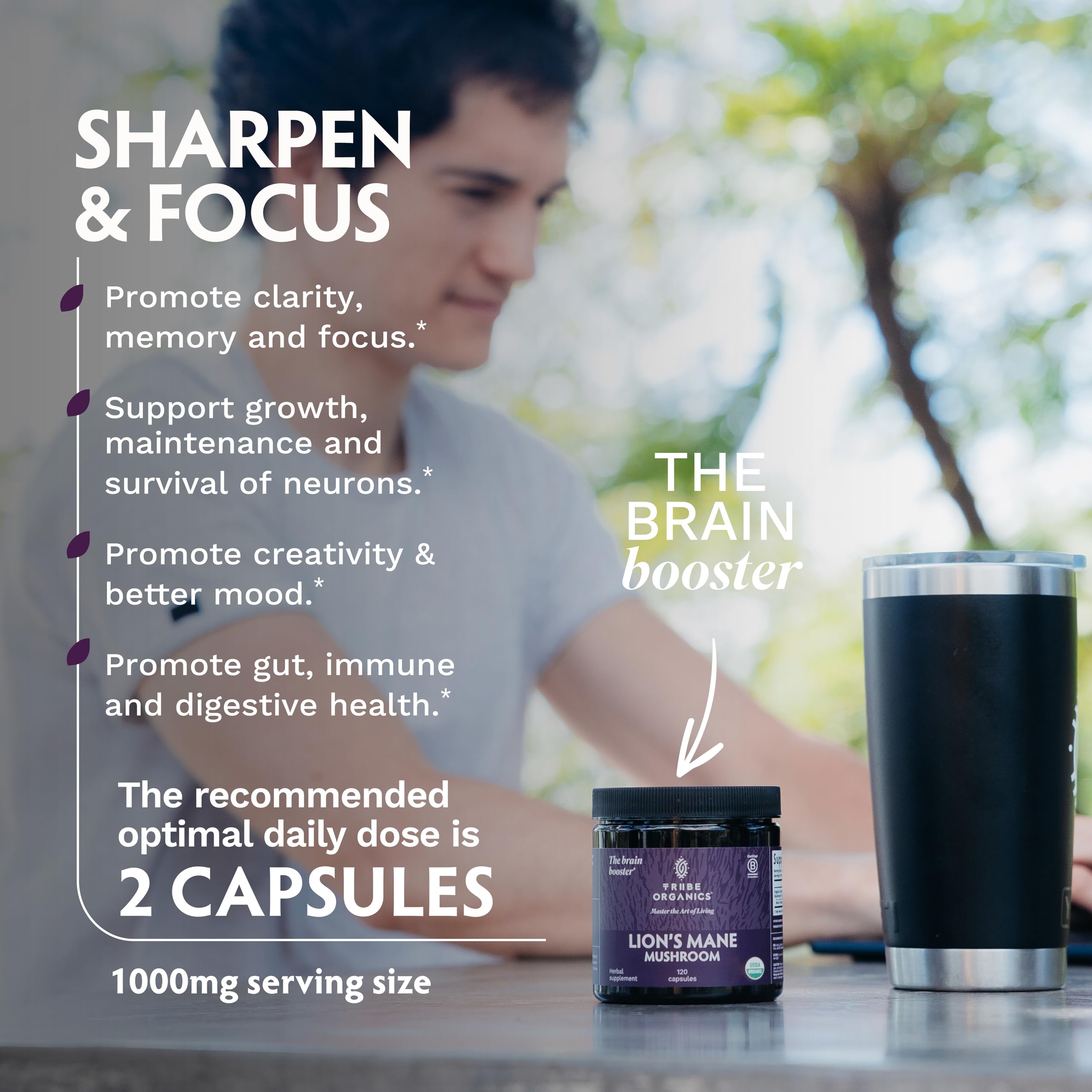 TRIBE ORGANICS Lion's Mane Mushroom Extract on a wooden table