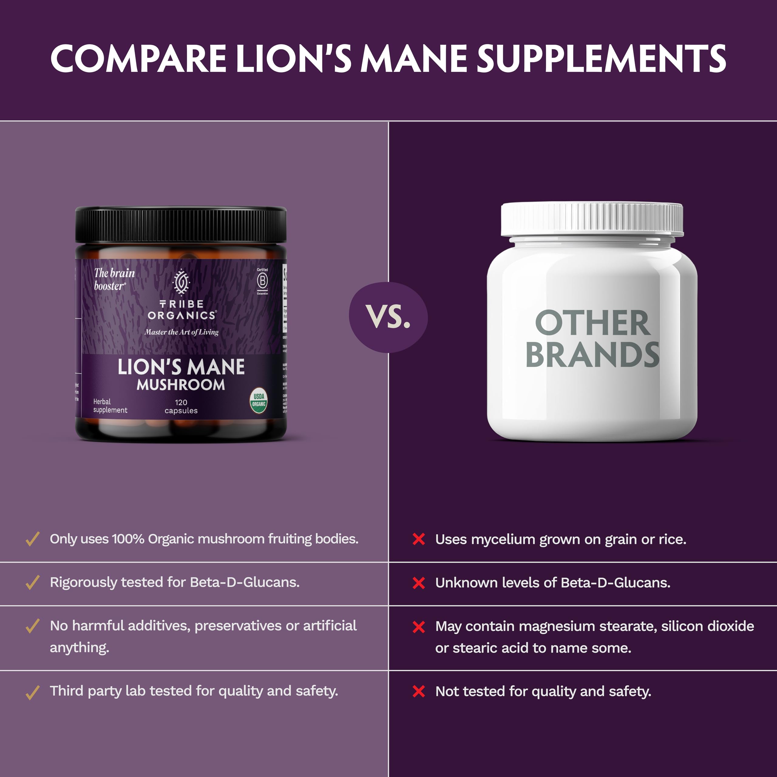 TRIBE ORGANICS Lion's Mane Mushroom Extract with a measuring spoon