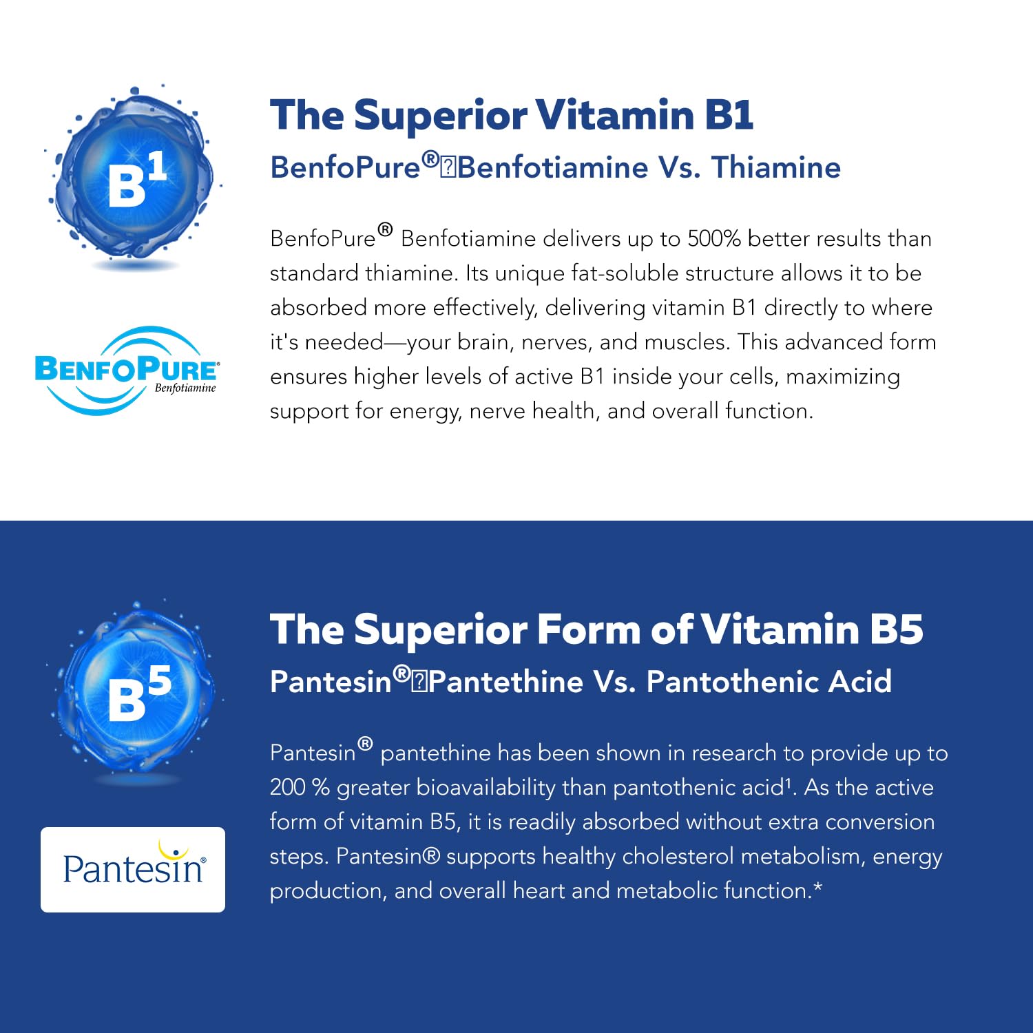 Triquetra Health B-Complex Vitamins 181g lifestyle scene