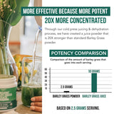 Triquetra Health Barley Grass Juice Powder 150g with smoothie