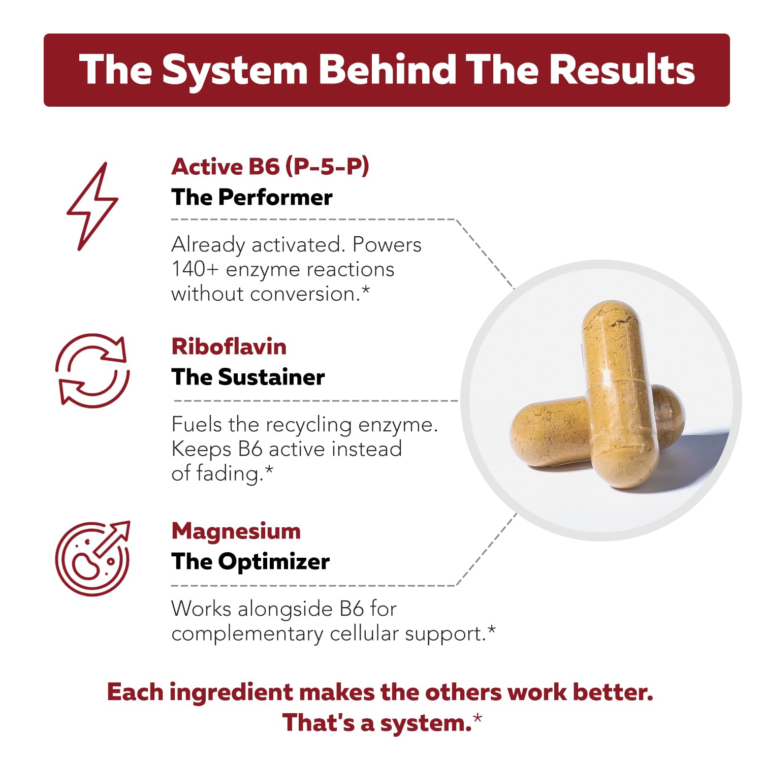 Triquetra Health BioActive B6 25mg supplement ingredients list
