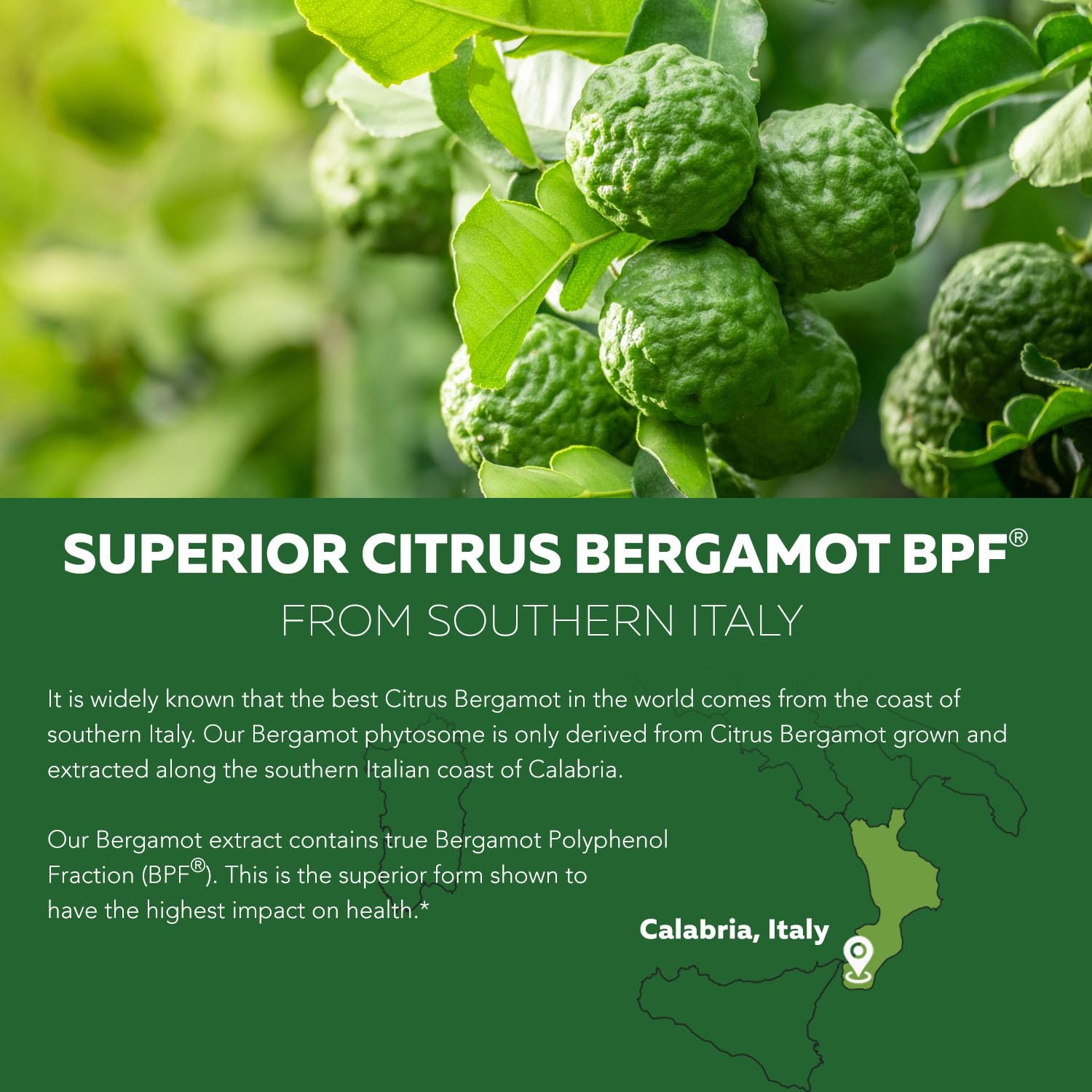 Triquetra Health Citrus Bergamot & Grape Seed Extract 200g lifestyle scene