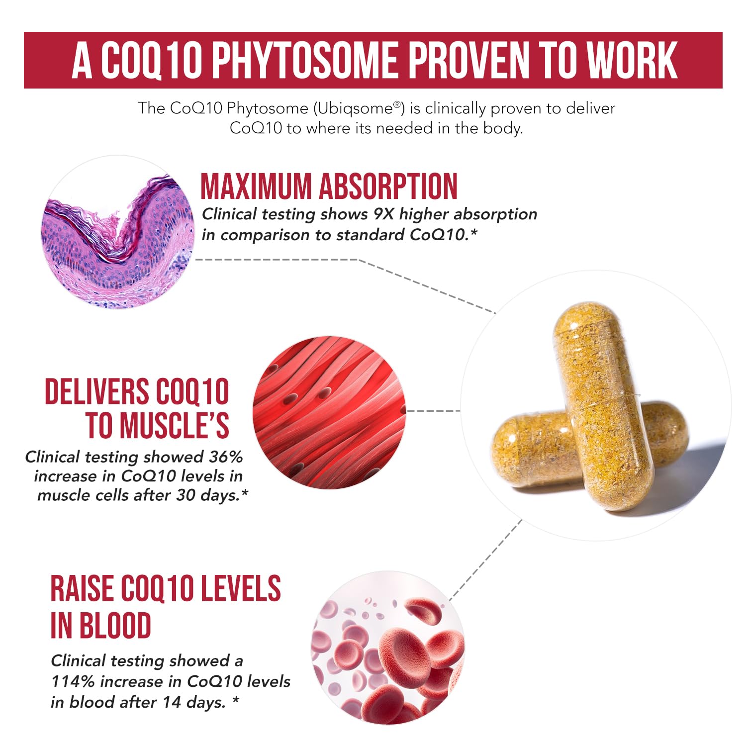 Triquetra Health CoQ10 Phytosome 100mg 60 Capsules with measuring spoon