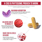 Triquetra Health CoQ10 Phytosome 100mg 60 Capsules with measuring spoon