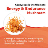 Triquetra Health Cordyceps Mushroom Capsules opened bottle