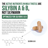 Triquetra Health Milk Thistle Phytosome 240g capsules lifestyle scene
