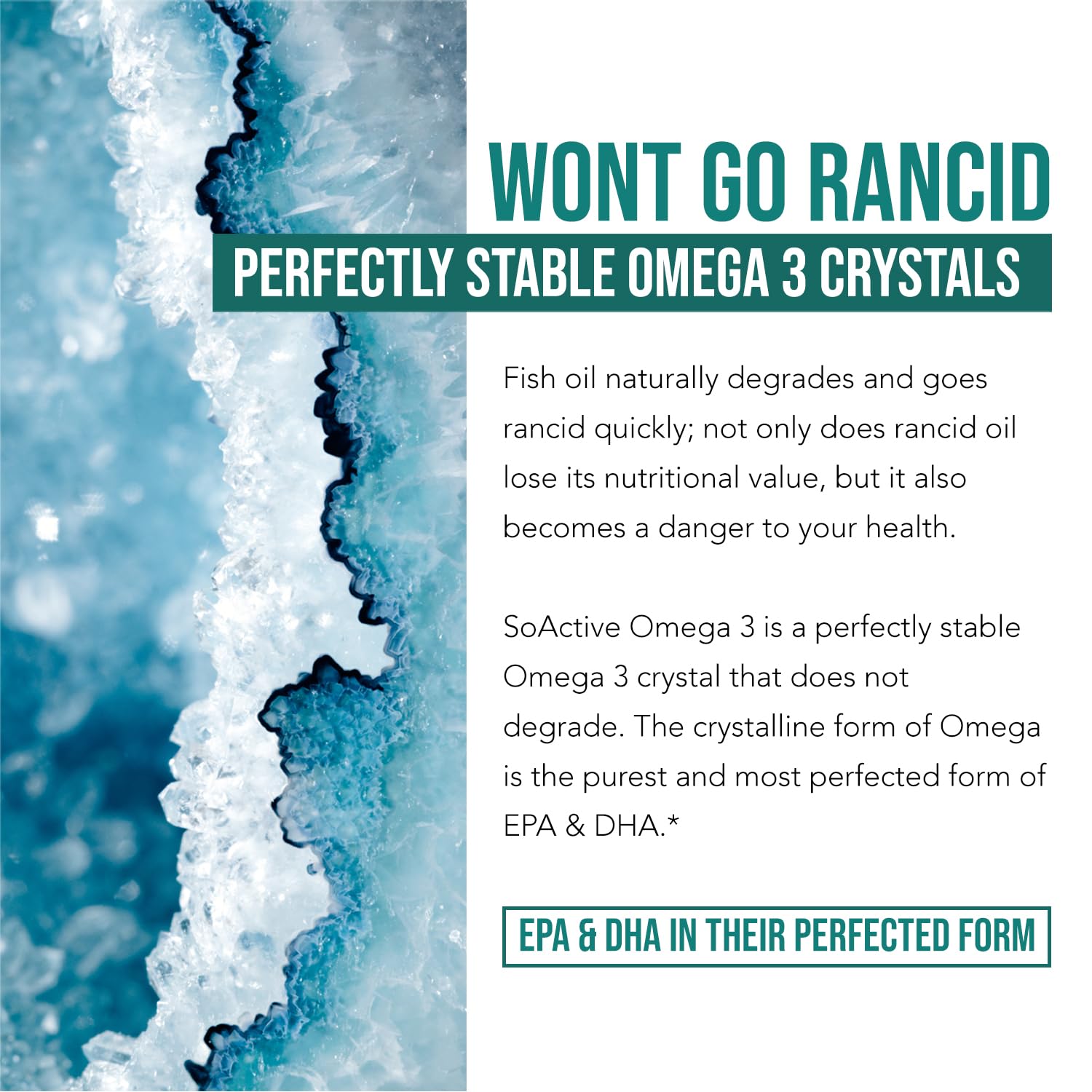 Triquetra Health Omega-3 EPA & DHA Supplement side view