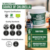 Triquetra Health Organic Chlorella Powder scoop showing green powder