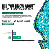 Triquetra Health Organic Chlorella Powder with measuring spoon