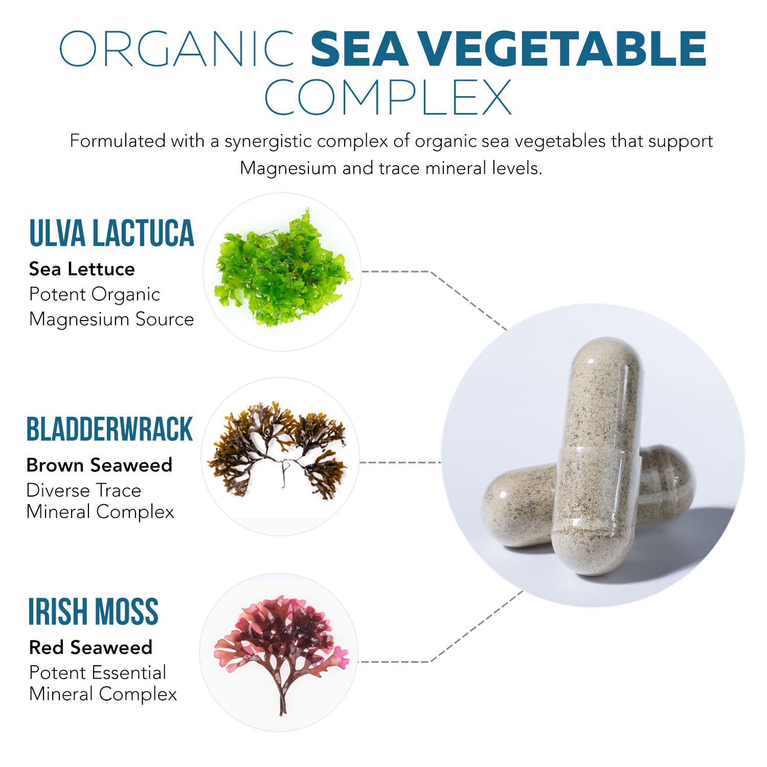 Triquetra Health Organic Plant-Based Magnesium bottle side view