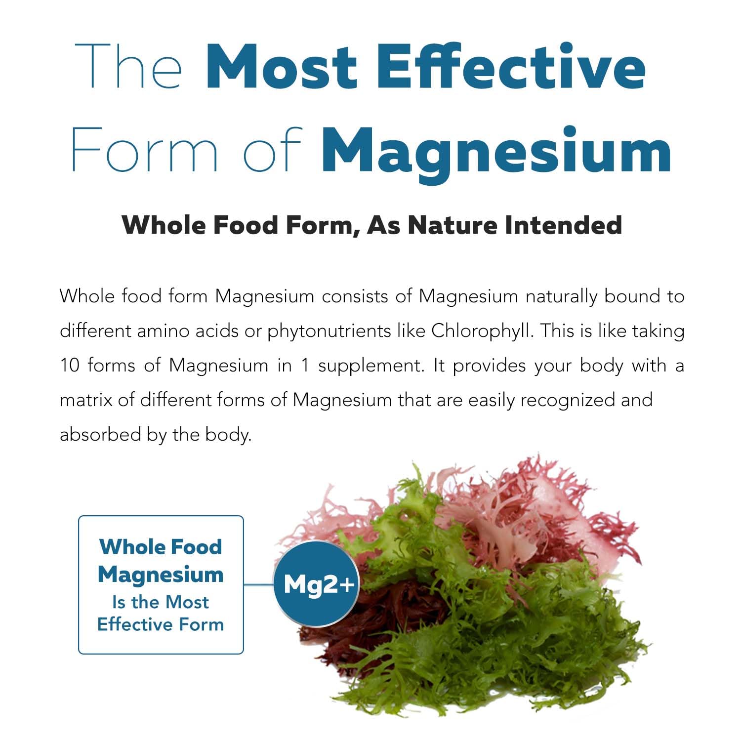 Triquetra Health Organic Plant-Based Magnesium ingredients list