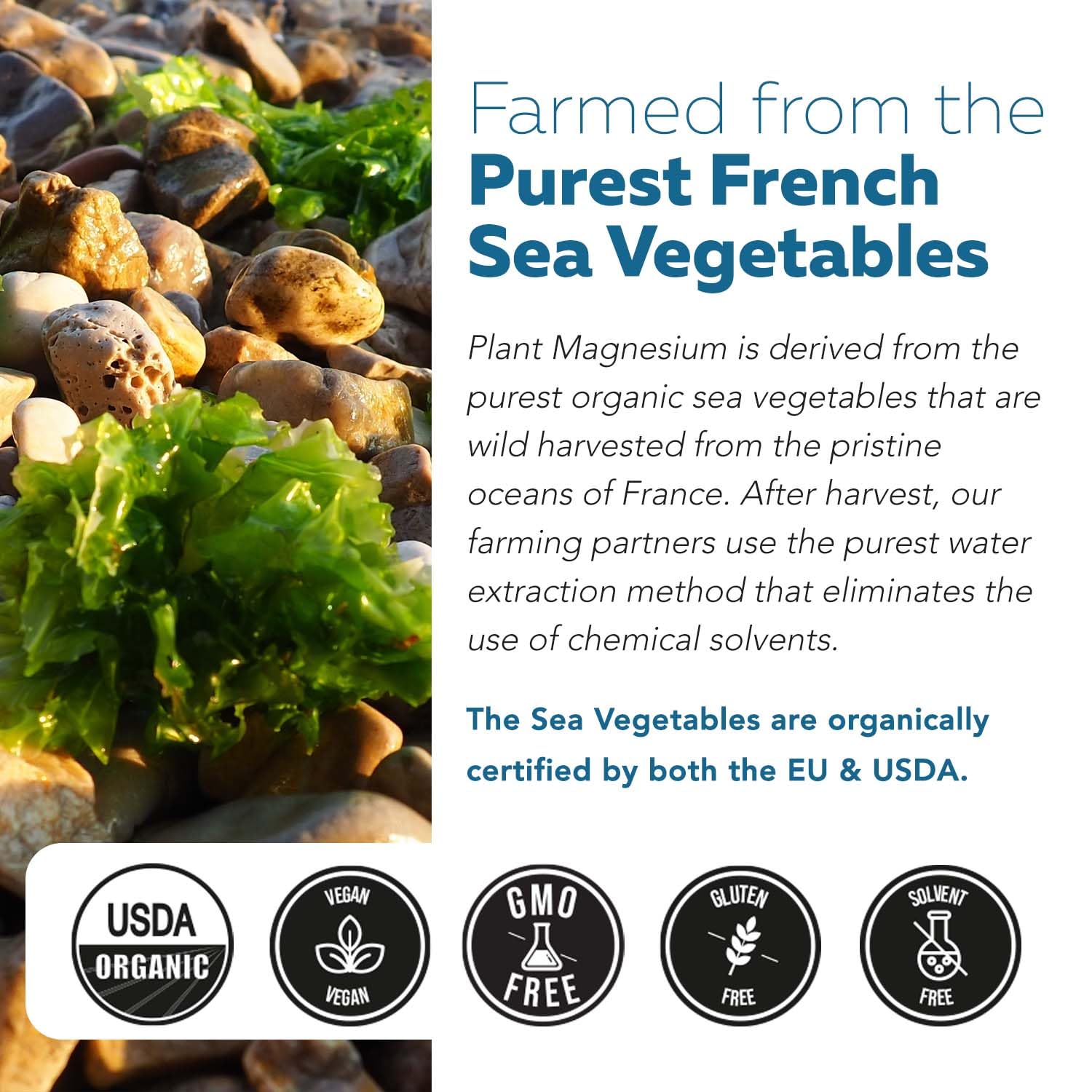 Triquetra Health Organic Plant-Based Magnesium product packaging